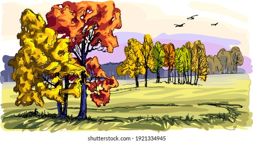 Autumn. The grass and leaves on the trees turned yellow. Birds fly south. Nature is preparing for winter sleep.