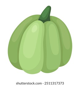 Autumn greeen pumpkin. October, fall, harvest time. Autumn vegetable. Vector illustration isolated on white. 