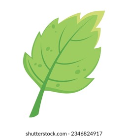 Vector de hoja verde otoñal. Dibujo de dibujos animados de elementos florales otoñales, hoja verde. La decoración otoñal, el concepto de naturaleza.