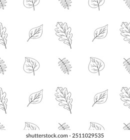 autumn green line doodle seamless pattern of different leaves, rowan berry, oak, chestnut, linden, birch, foliage botanical fall illustration, floral design, September, October background