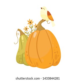 Autumn green pumpkin and bird -  vegetable graphic. Garden food. Forest. Simple cartoon flat style. Vector illustration