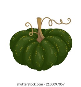 Autumn green pumpkin.Cartoon vector graphics.