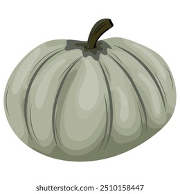 autumn green round pumpkin icon, for various designs and posters, vector
