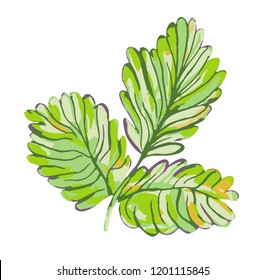 Autumn green vector leaf. Multicolor vector leaf on isolated background.
