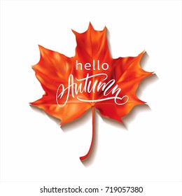 Autumn greeting background with red maple leaf and lettering. Vector illustration.