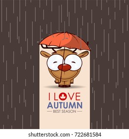 Autumn greeting card with funny animal character.