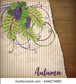 Autumn greeting card with grape, vector illustration