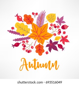 Autumn greeting card with rowan, briar, maple and oak leaves, acorn on white background. Perfect for holiday invitations