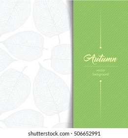 Autumn greeting card template, banner or flyer. Fall leaf.