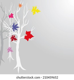 autumn grey  tree maple with multicolored leaves