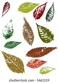 Autumn Grunged Leaves