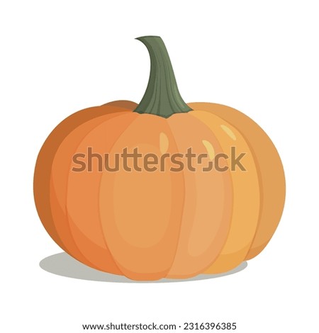 Autumn halloween pumpkin, vegetable graphic icon. Orange pumpkin vector illustration isolated on white background.