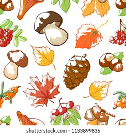 Autumn hand draw background. Fall decorative and colored elements in delicate glow color, richness and warmth of autumn image