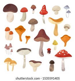 Autumn hand drawn big vector set of various types of mushrooms. Colored trendy edible forest food illustration with texture. Perfect for recipe, menu, label, packaging, poster, wrapping paper