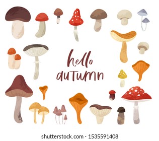 Autumn hand drawn big vector set of various types of mushrooms. Colored trendy edible forest food illustration with texture. Perfect for recipe, menu, label, packaging, poster, wrapping paper