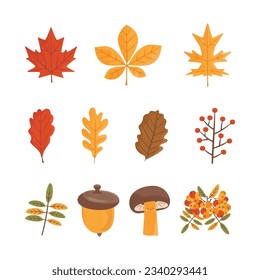 Autumn hand drawn clipart collection. Fall season cozy symbols bundle. Autumn seasonal elements - leaves, mushroom. Harvest colorful set. Thanksgiving icons. Stock vector designs