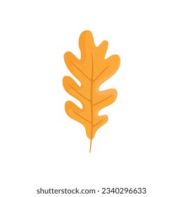 Autumn hand drawn clipart. Fall season cozy symbol. Autumn seasonal element - oak tree leaf. Harvest colorful illustration. Thanksgiving flat icon. Stock vector design