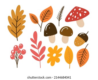 Autumn hand drawn colorful elements set. Fall signs and symbols icons isolated vector illustration.