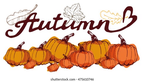 Autumn Hand drawn doodle set. Hand drawn autumn illustration with pumpkin. Vector illustration