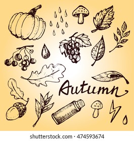 Autumn Hand drawn doodle set.Vector set of different hand drawn autumn elements. Vector illustration