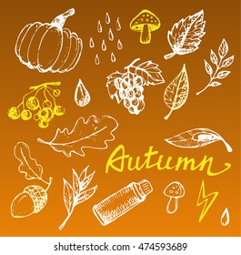 Autumn Hand drawn doodle set.Vector set of different hand drawn autumn elements. Vector illustration