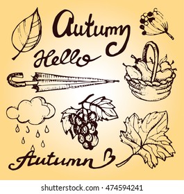 Autumn Hand drawn doodle set.Vector set of different hand drawn autumn elements. Vector illustration
