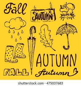 Autumn Hand drawn doodle set.Vector set of different hand drawn autumn elements. Vector illustration