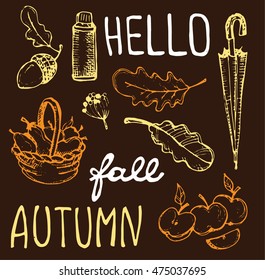 Autumn Hand drawn doodle set.Vector set of different hand drawn autumn elements. Vector illustration
