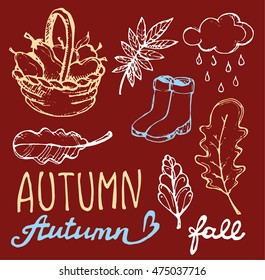 Autumn Hand drawn doodle set.Vector set of different hand drawn autumn elements. Vector illustration