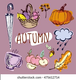 Autumn Hand drawn doodle set.Vector set of different hand drawn autumn elements. Vector illustration