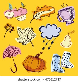 Autumn Hand drawn doodle set.Vector set of different hand drawn autumn elements. Vector illustration