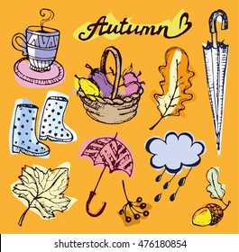 Autumn Hand drawn doodle set.Vector set of different hand drawn autumn elements. Vector illustration