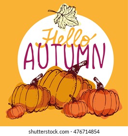 Autumn Hand drawn doodle set.Vector set of different hand drawn autumn elements. Vector illustration