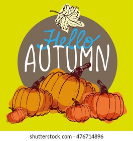 Autumn Hand drawn doodle set.Vector set of different hand drawn autumn elements. Vector illustration