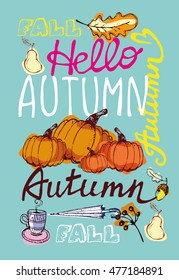 Autumn Hand drawn doodle set.Vector set of different hand drawn autumn elements. Vector illustration