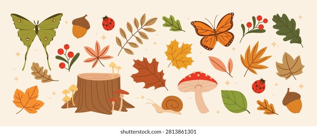 Autumn hand drawn element vector set. Collection of maple leaves, butterfly, lady bug, log, mushroom, foliage, berry, snail, oak leaf. Fall season illustration isolated on white background for decor.