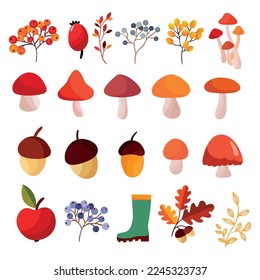 Autumn hand drawn elements collection with decorative wreath, leaves, berries, mushrooms
