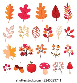 Autumn hand drawn elements collection with decorative wreath, leaves, berries, mushrooms