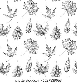 Autumn hand drawn leaves pattern. Black and white engraved ink art. Isolated leaf illustration element on white background.