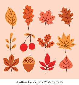 Autumn hand drawn leaves set , cute cozy design leaves elements 