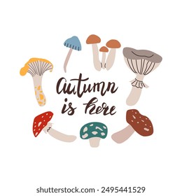 Autumn hand drawn lettering autumn is here . Fall season handwritten slogan. Autumn phrase with cute cozy design elements isolate on white .