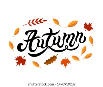 Autumn. Hand drawn lettering. Vector illustration. Best for Autumn design.
