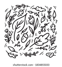 Autumn hand drawn set with leaves, plants, flowers and acorns. Free drawing style. Nature