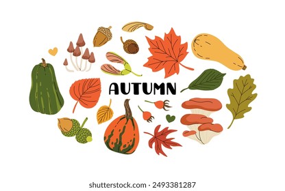 Autumn hand drawn vector background with leaves, mushrooms, berries, seeds, acorn. Autumn gifts decorative tag, sticker, card. Fall designed frame.