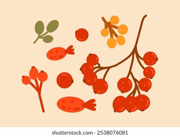 Colección de bayas de Vector dibujadas a mano de otoño. Elementos estacionales para imprimir, diseño, venta, Anuncio