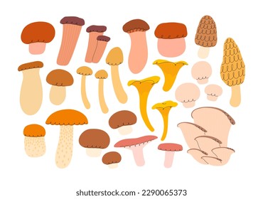 Autumn hand drawn vector edible mushroom set in flat style for menu, healthy food design, label, icon, recipe, packaging, printing, stickers, web. Colored trendy illustration