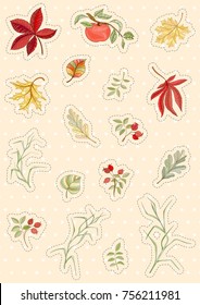 Autumn hand drawn vector illustration. Bright colorful stickers on light background can be used for invitation, card, banner template, flyer, sale, website, cover. A4 print ready