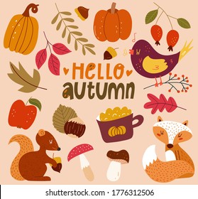 Autumn hand drawn vector illustrations collection. Floral autumn clipart. Kids design. Isolated objects on white background. Hand drawn vector illustration. 