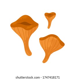 Autumn hand drawn vector mushroom art work. Colored trendy edible forest food illustration with texture. Perfect for recipe, menu, label, packaging, poster, wrapping paper