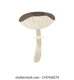 Autumn hand drawn vector mushroom art work. Colored trendy edible forest food illustration with texture. Perfect for recipe, menu, label, packaging, poster, wrapping paper